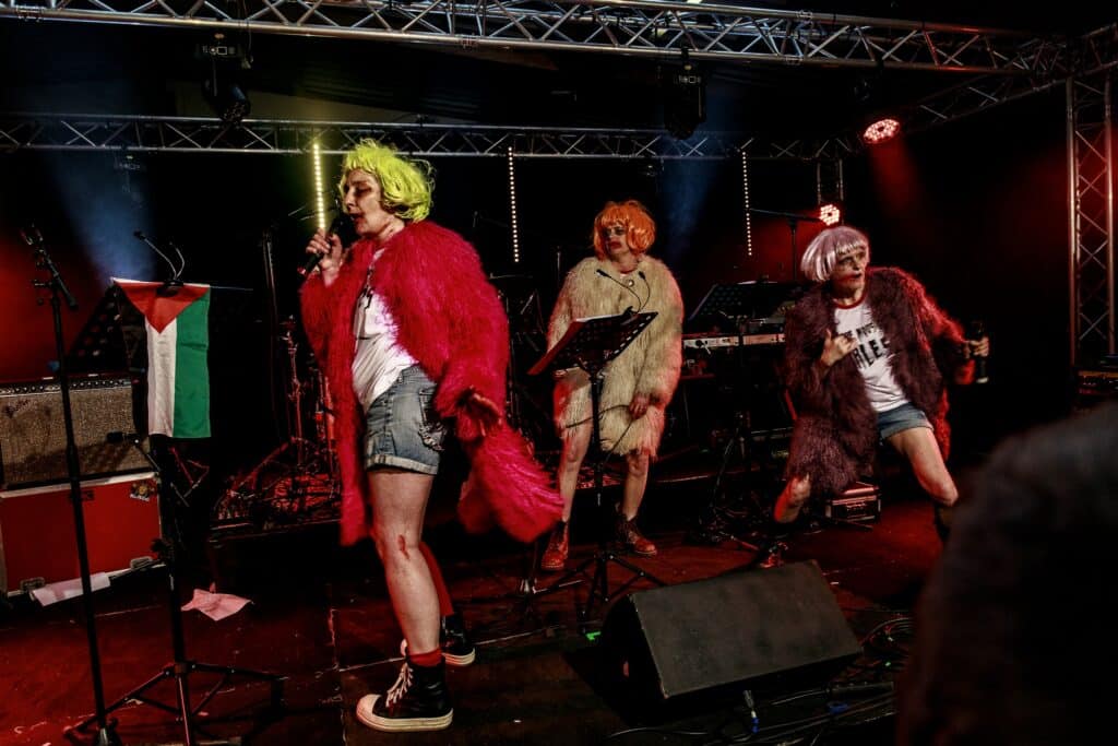 Les Vaginites (Enchanteurs - 2026)