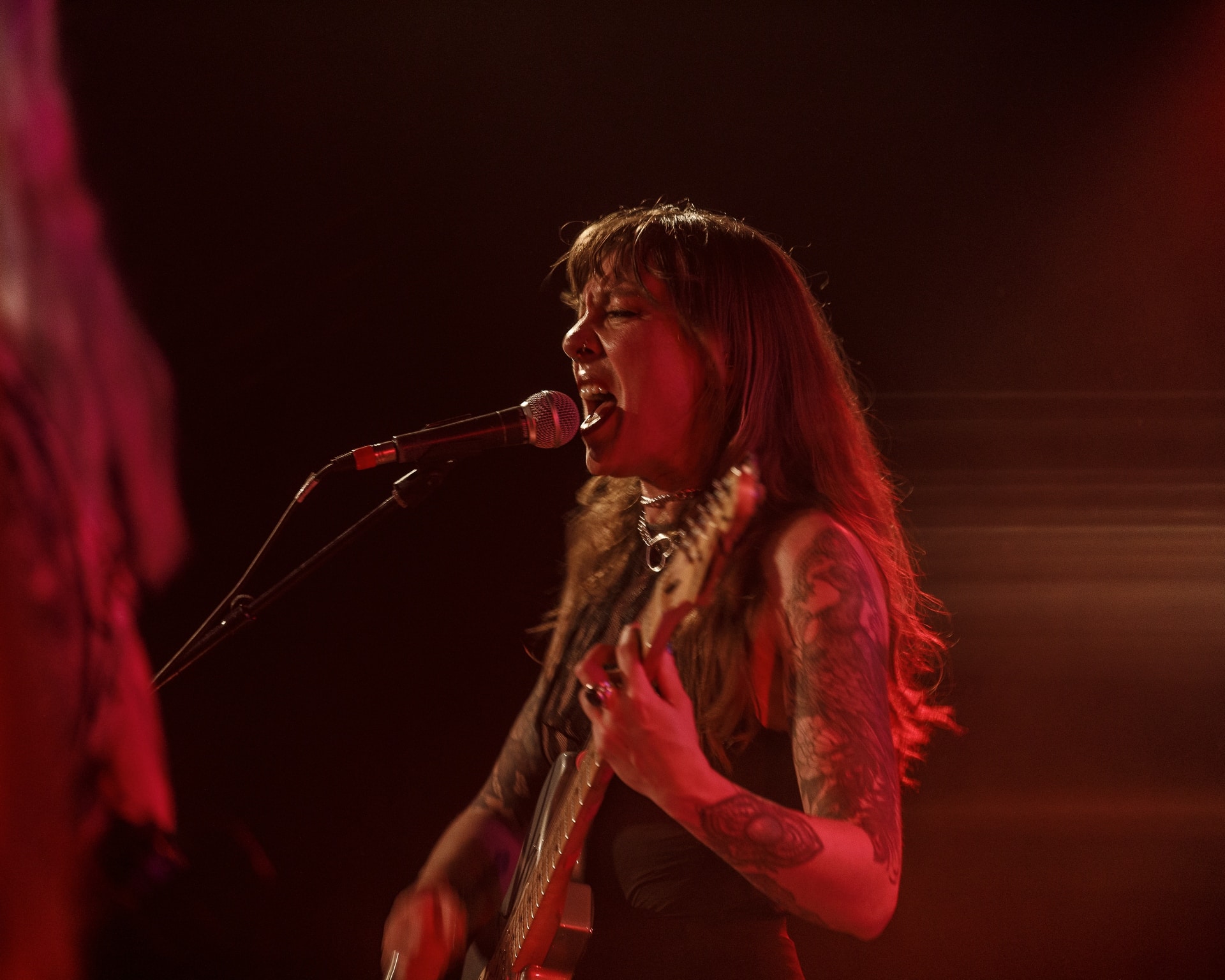 Pussy Miel (Enchanteurs - 2026)